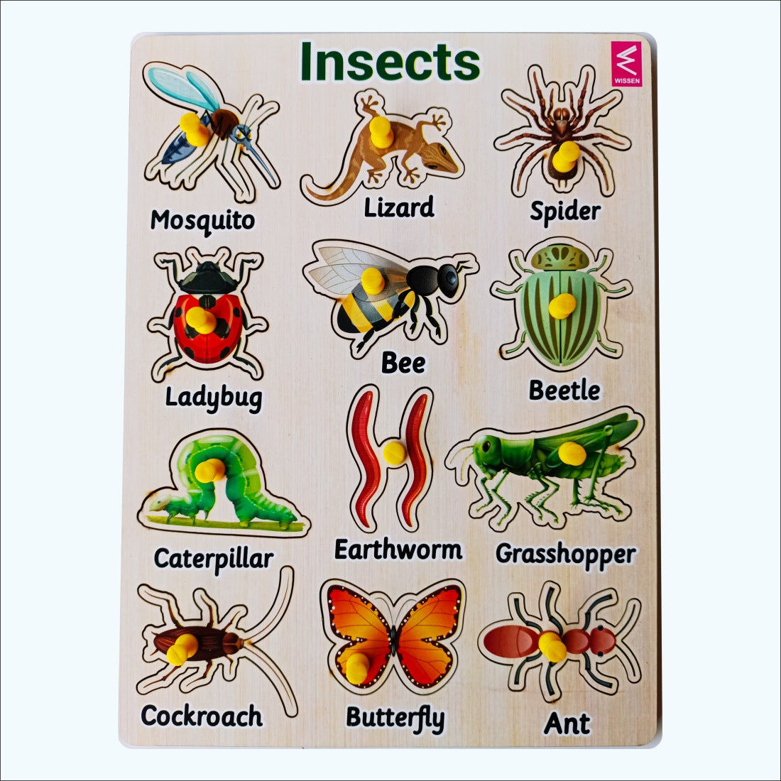 Wooden Hide and See Insect learning peg board Puzzle