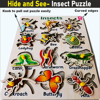 Wooden Hide and See Insect learning peg board Puzzle