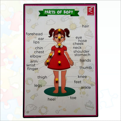 Wooden Parts of Body (Girl) Educational peg board puzzle- 12*18 inch