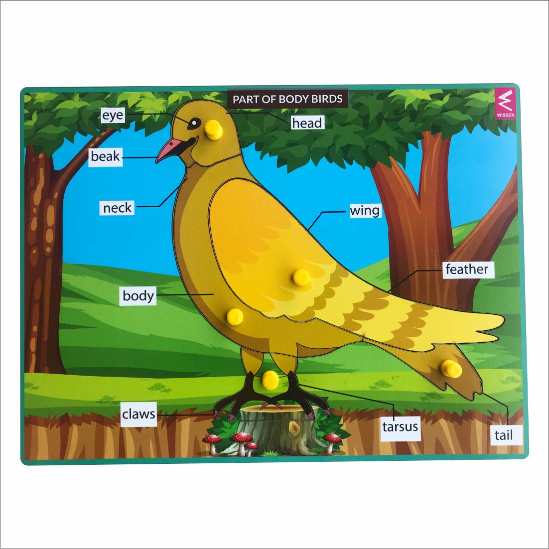 Wooden Birds parts Peg board puzzle- 12*9 inch