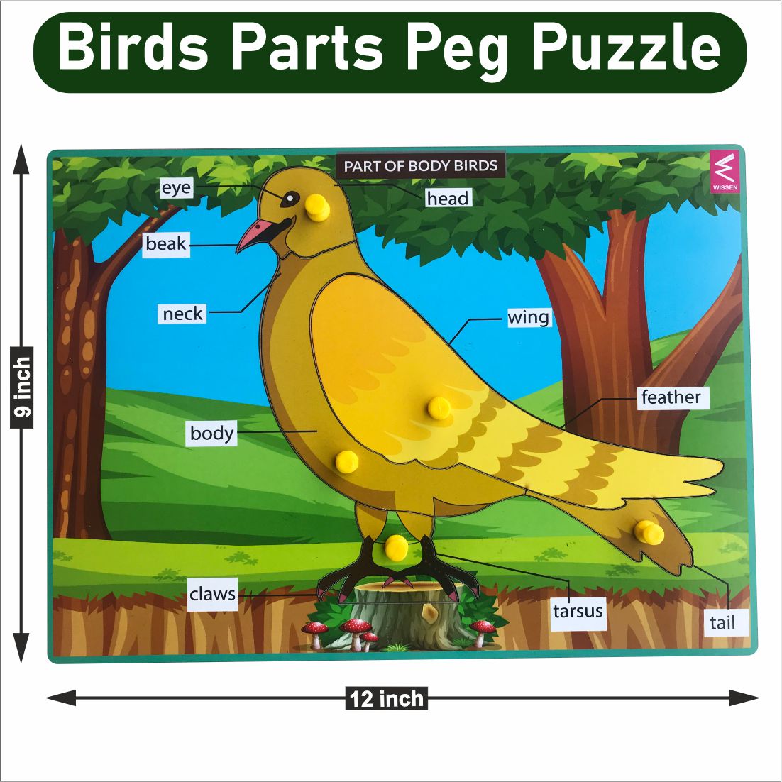 Wooden Birds parts Peg board puzzle- 12*9 inch