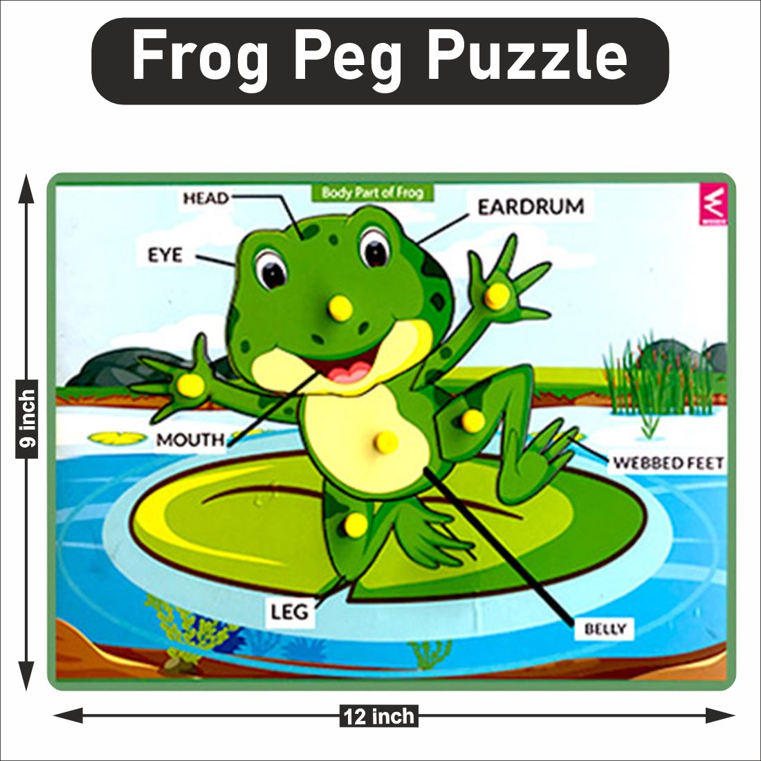 Wooden FROG parts Peg board puzzle- 12*9 inch