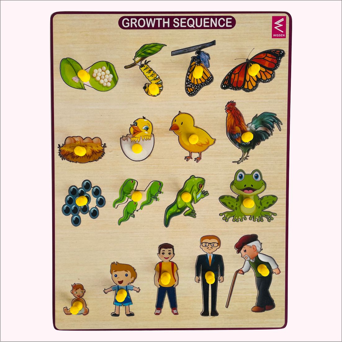 Wooden Growth Sequence peg board puzzle game-12*9 inch for kids