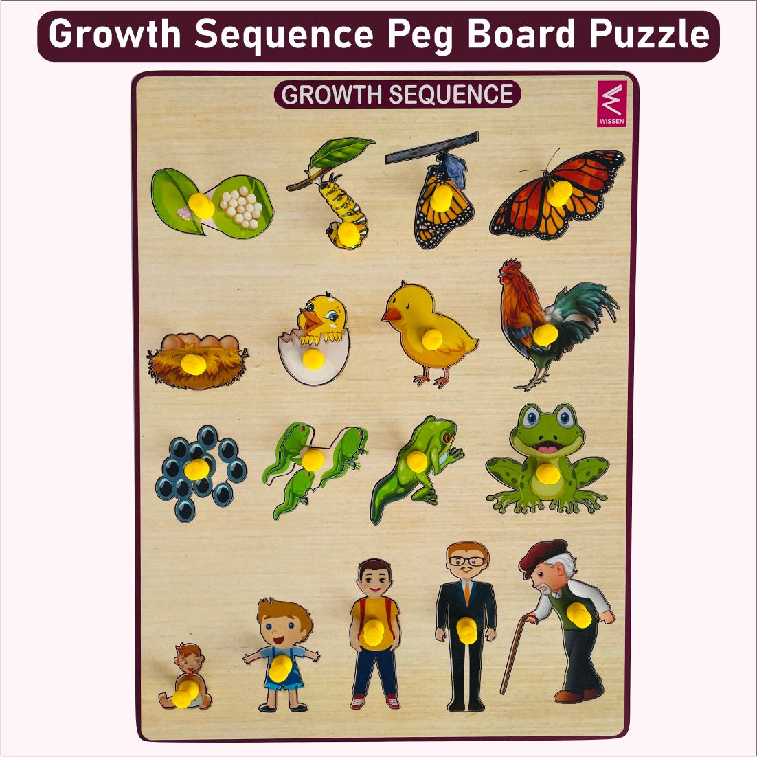 Wooden Growth Sequence peg board puzzle game-12*9 inch for kids