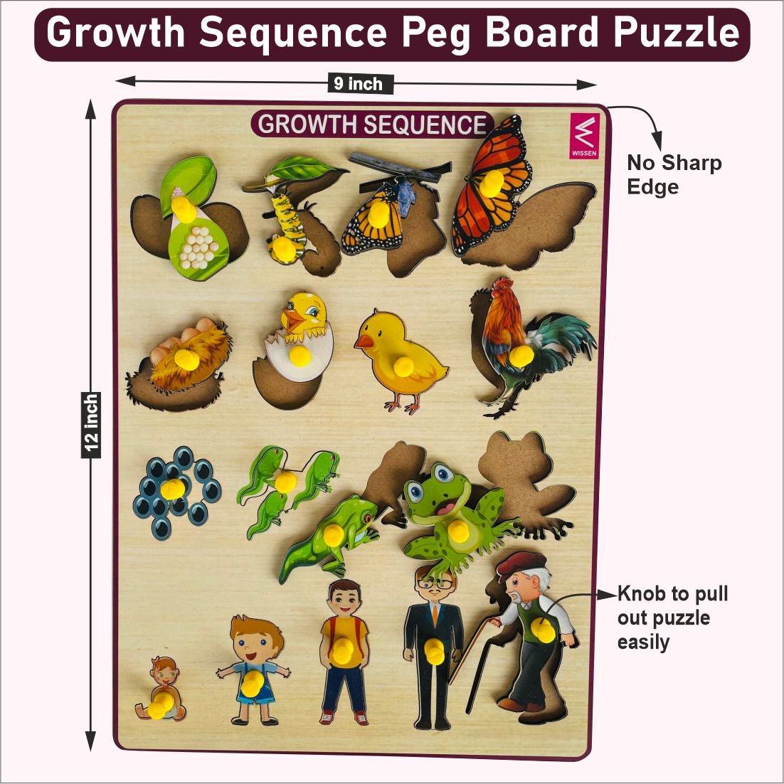 Wooden Growth Sequence peg board puzzle game-12*9 inch for kids