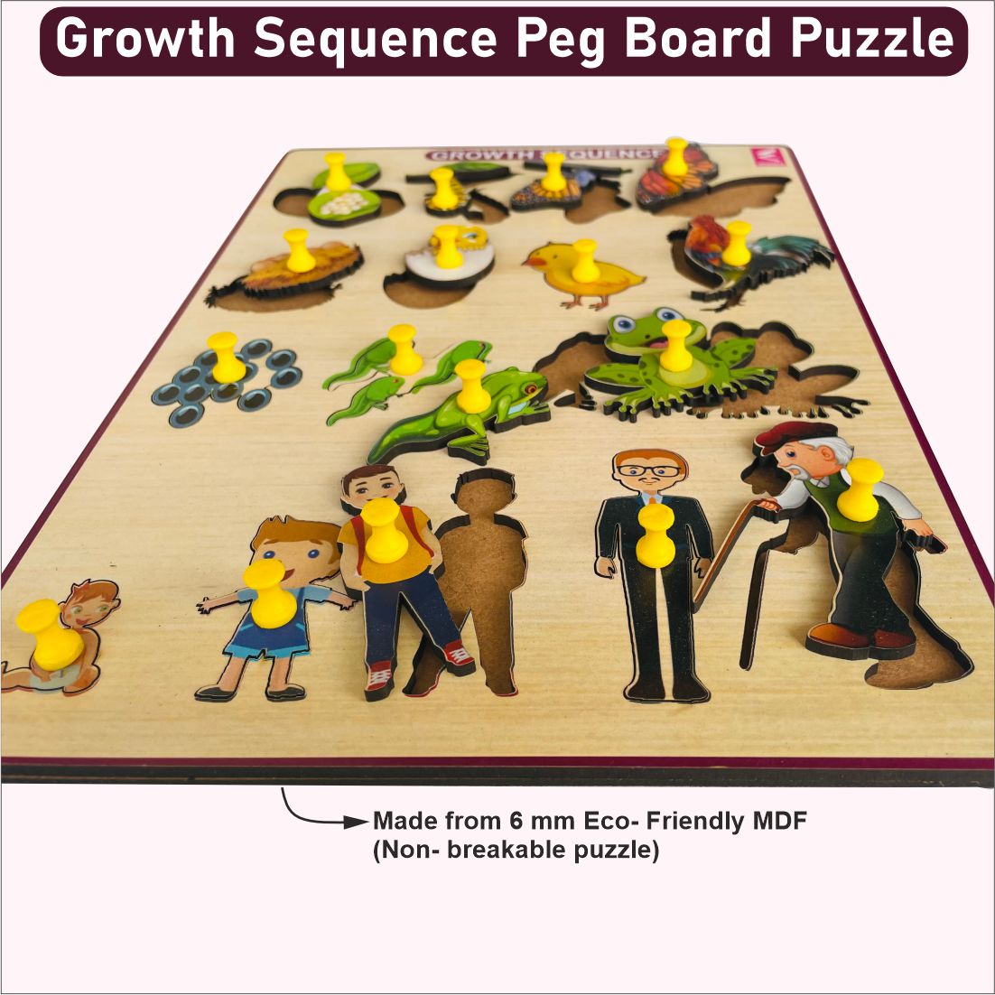 Wooden Growth Sequence peg board puzzle game-12*9 inch for kids