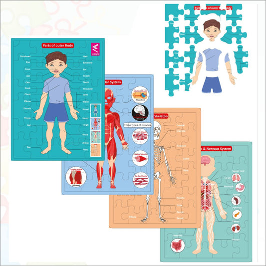 Wooden Multilayer Human Anatomy Puzzle For kids- 12*9 inch