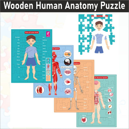 Wooden Multilayer Human Anatomy Puzzle For kids- 12*9 inch