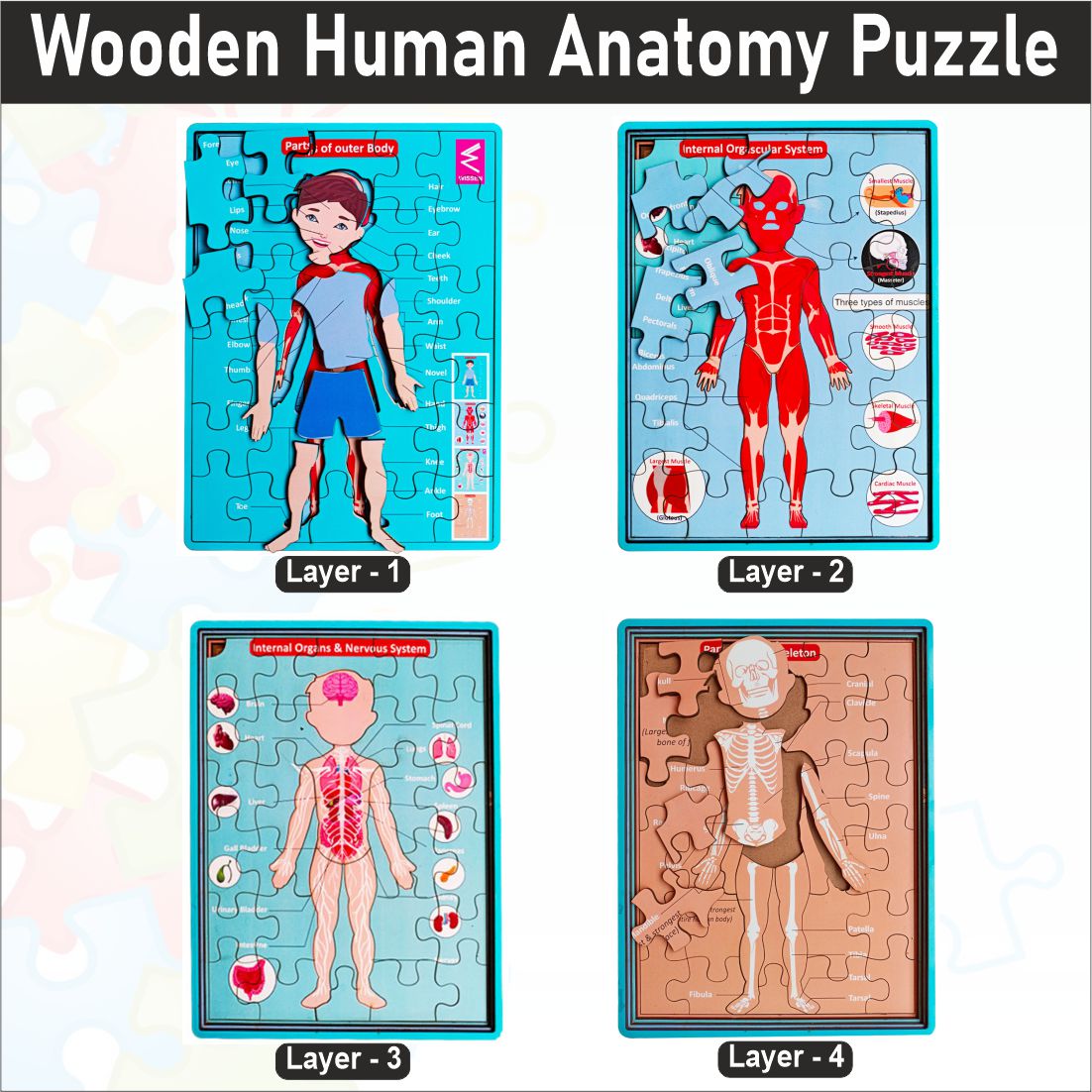 Wooden Multilayer Human Anatomy Puzzle For kids- 12*9 inch