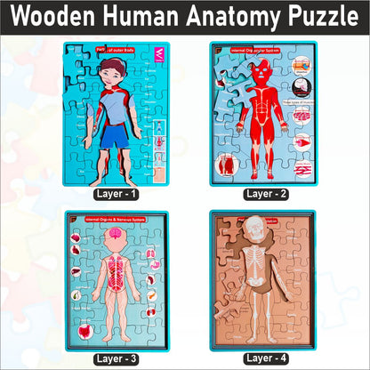 Wooden Multilayer Human Anatomy Puzzle For kids- 12*9 inch