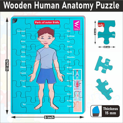 Wooden Multilayer Human Anatomy Puzzle For kids- 12*9 inch