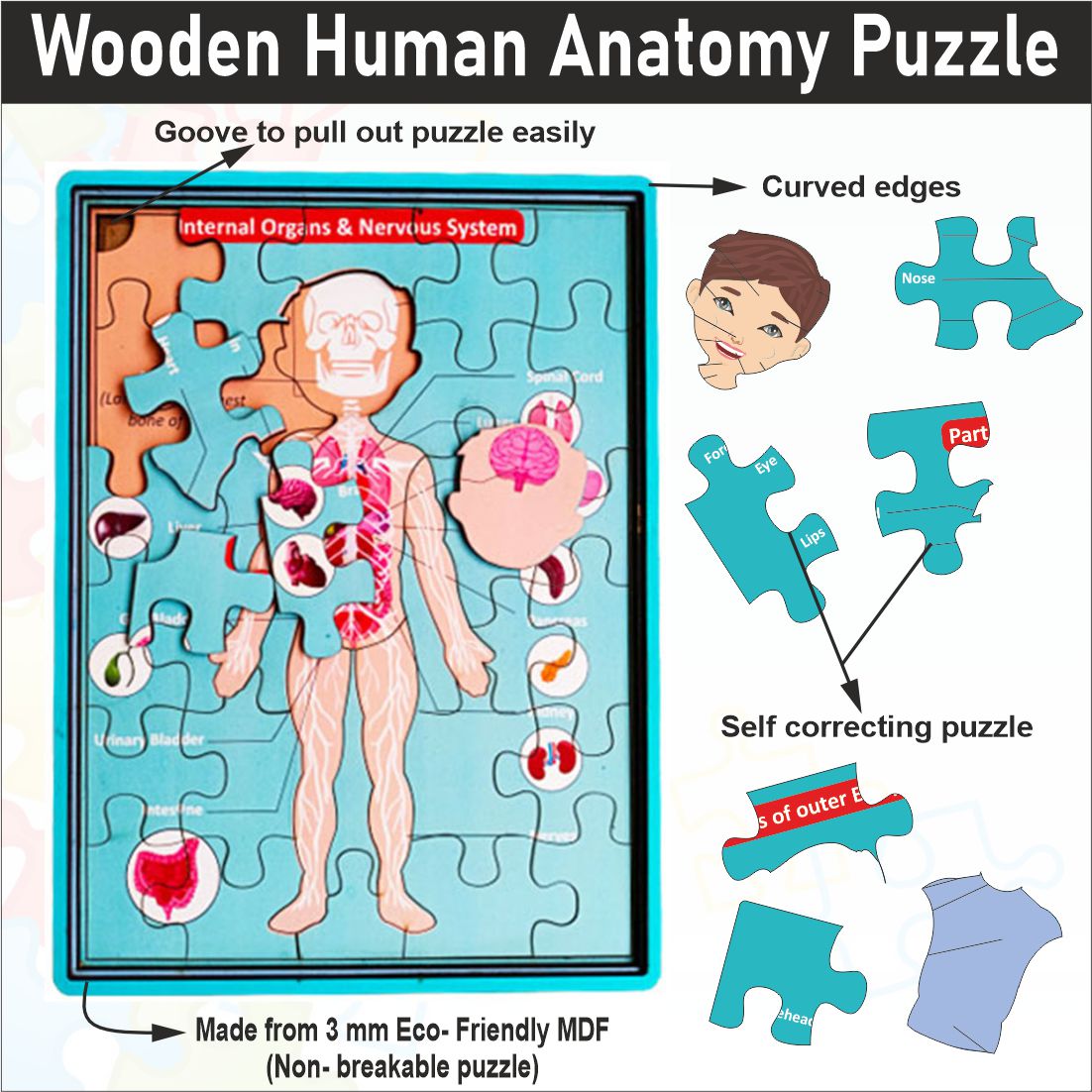 Wooden Multilayer Human Anatomy Puzzle For kids- 12*9 inch