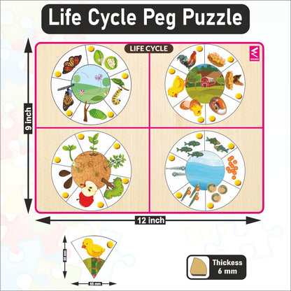 Wooden Life Cycle Inside Peg Board Puzzle -12*9 inch