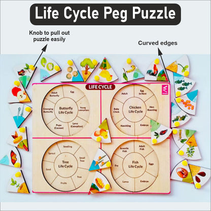 Wooden Life Cycle Inside Peg Board Puzzle -12*9 inch