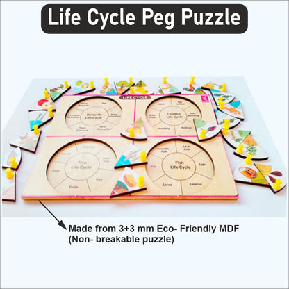 Wooden Life Cycle Inside Peg Board Puzzle -12*9 inch