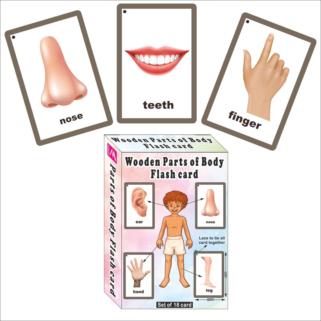 Wooden (MDF) Parts of Body Learning Flash card with lacing thread.