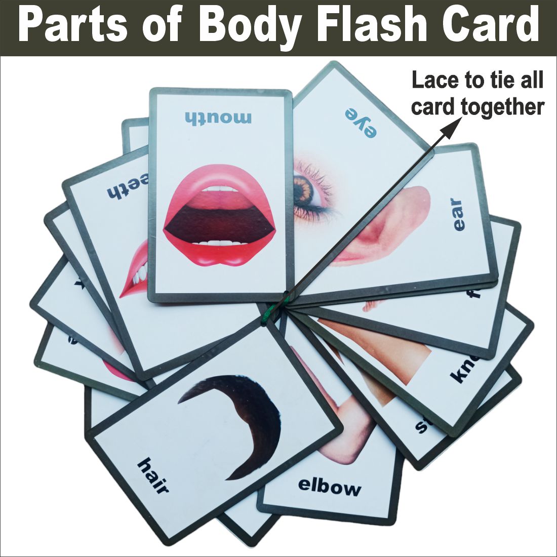 Wooden (MDF) Parts of Body Learning Flash card with lacing thread.