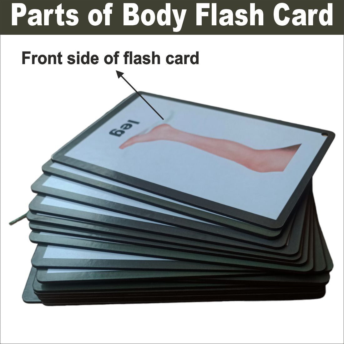 Wooden (MDF) Parts of Body Learning Flash card with lacing thread.