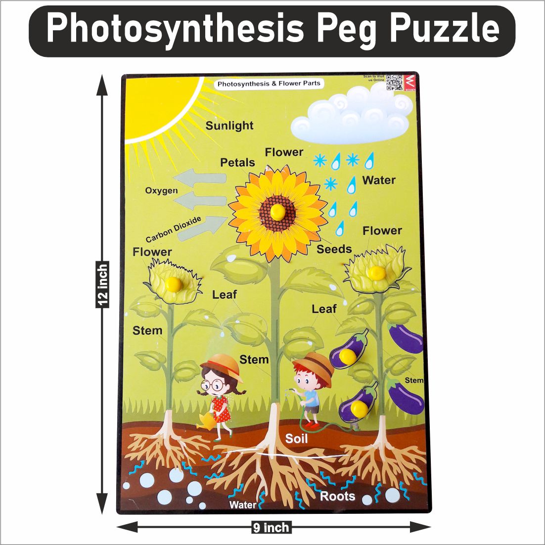 Wooden Photosynthesis Peg Board Puzzle- 12*18 inch