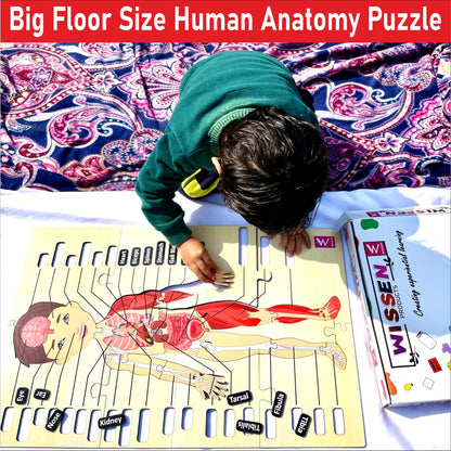 Wooden big Floor Size Human Anatomy Puzzle - Size-24*18 inch